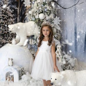 Коледна фотография christmas 17