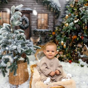 Коледна фотография christmas 6