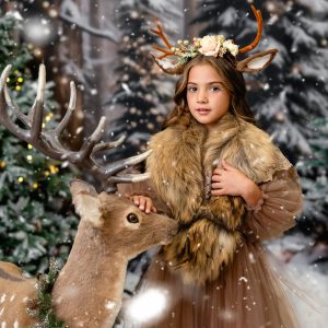 Коледна фотография christmas 7